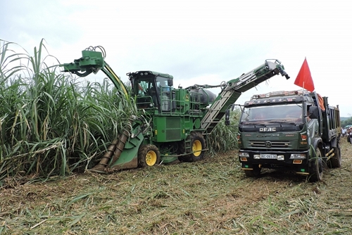 Tạo lập thị trường cạnh tranh công bằng để phát triển ngành mía đường
